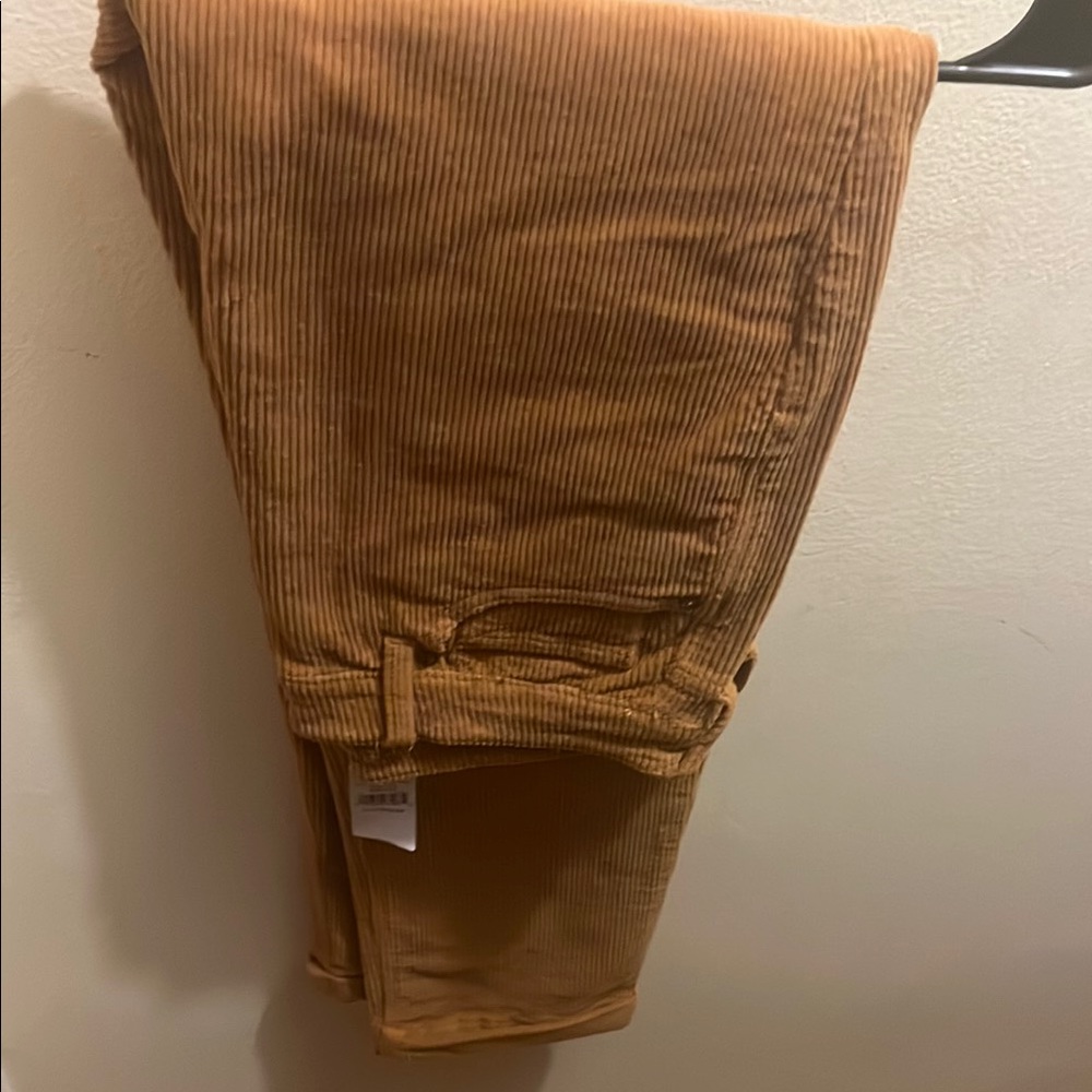 American Eagle Corduroy Pants in Warm Brown